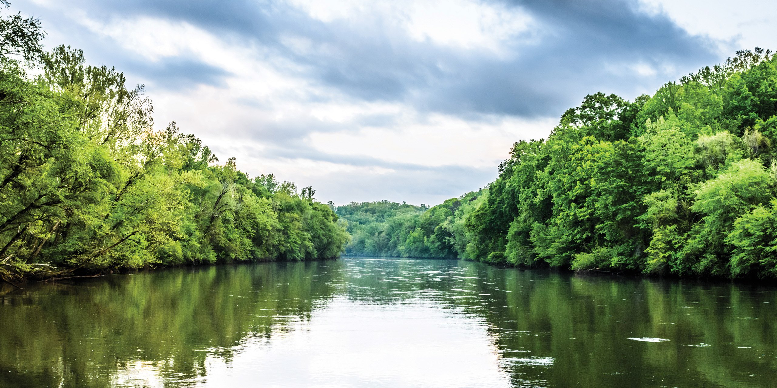 A tree-lined river on an overcast day